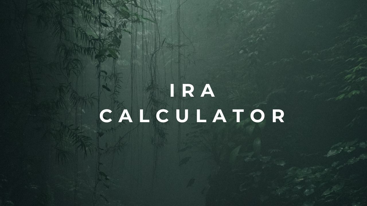 IRA Calculator